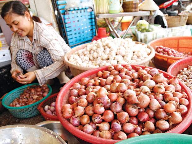 Rau củ quả né mác Trung Quốc